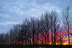 Winter's sunset