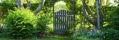 Buy stock photo A lush green garden with a small gate in the middle