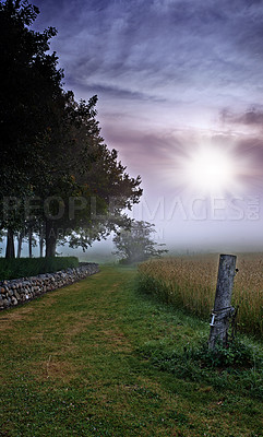 Buy stock photo Farm, wheat field and trees environment for agriculture nature countryside or misty morning, grain or harvest. Lawn, sunshine and land ecology with fog in England or clean energy, scenery or dawn