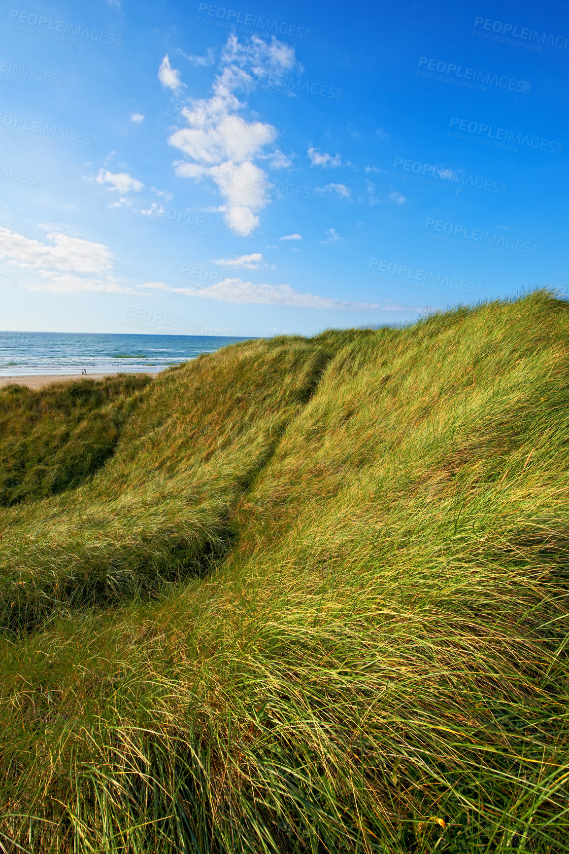 Buy stock photo Sky, field and meadow with beach for flowers, sustainable agro farming and growth in nature environment. Background, travel and landscape of horizon, lawn or natural pasture for grass and ecology