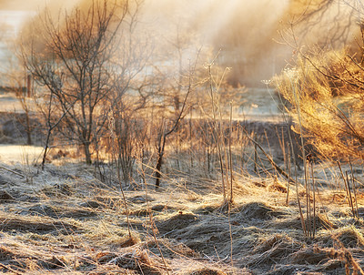 Buy stock photo Shot of a scenic winter landscape