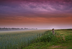 Morning breaks over a Danish meadow