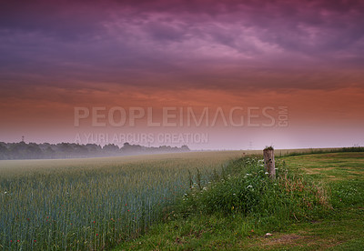 Buy stock photo Field, landscape and clouds in nature, sunset or peace in morning with countryside tranquility. Freedom, zen and sunrise outdoor for travel, explore or adventure, vacation or Amsterdam holiday trip