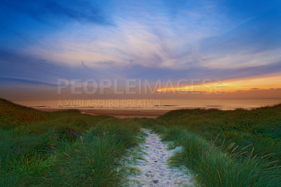 Buy stock photo A footpath through the grassy dunes leading to the ocean