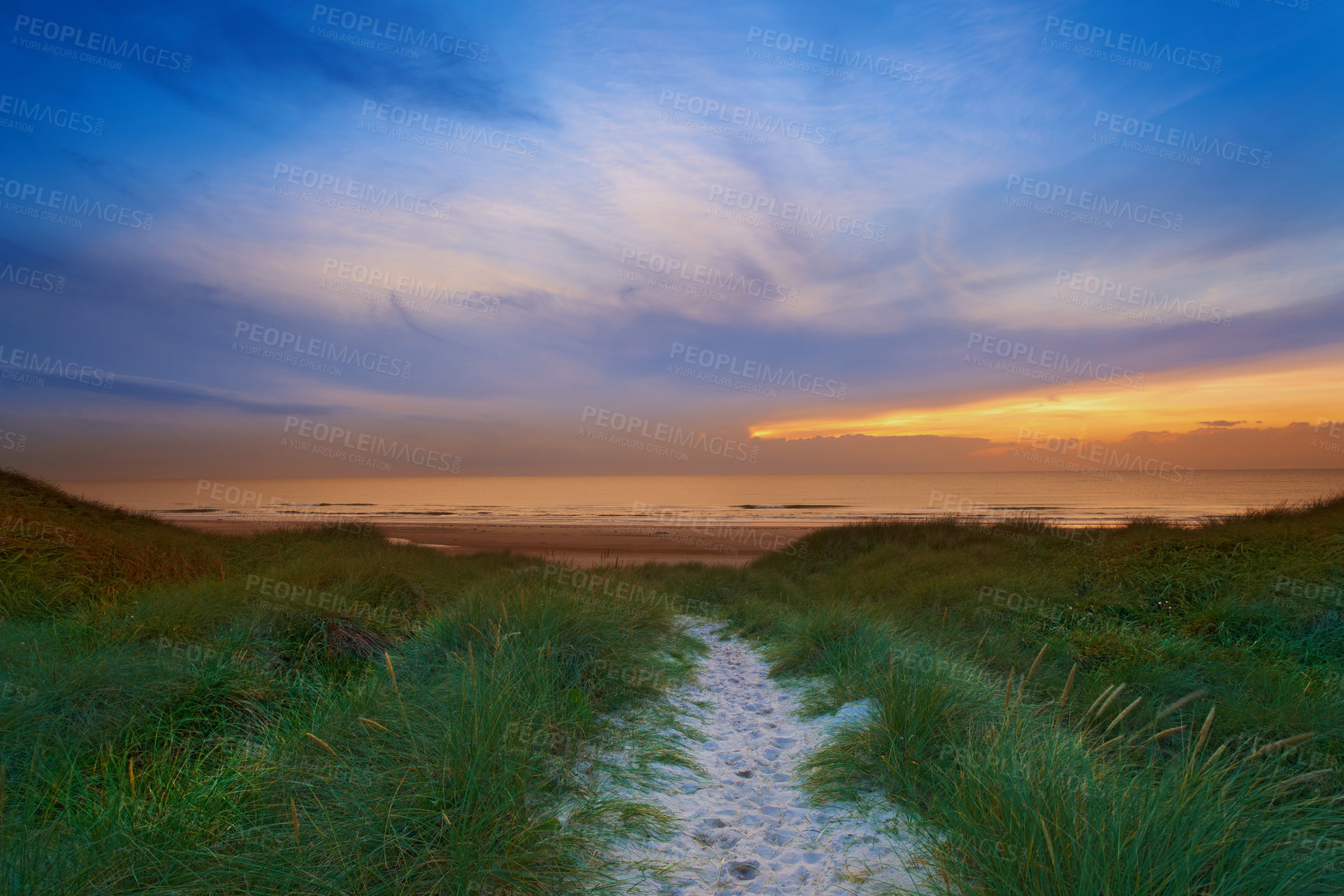 Buy stock photo A footpath through the grassy dunes leading to the ocean