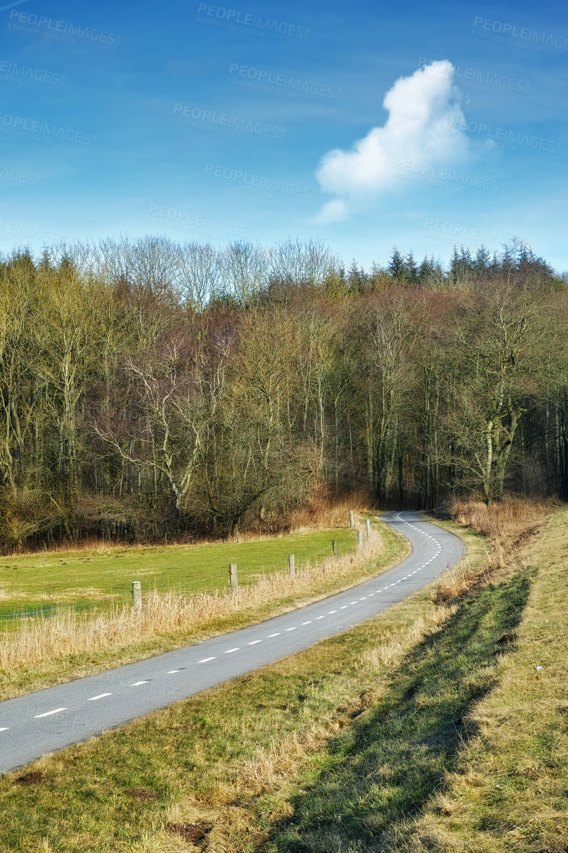 Buy stock photo Road, landscape and forest with trees in countryside for travel, adventure and roadtrip with field in nature. Street, pathway and location in Amsterdam with tarmac, roadway or environment for tourism