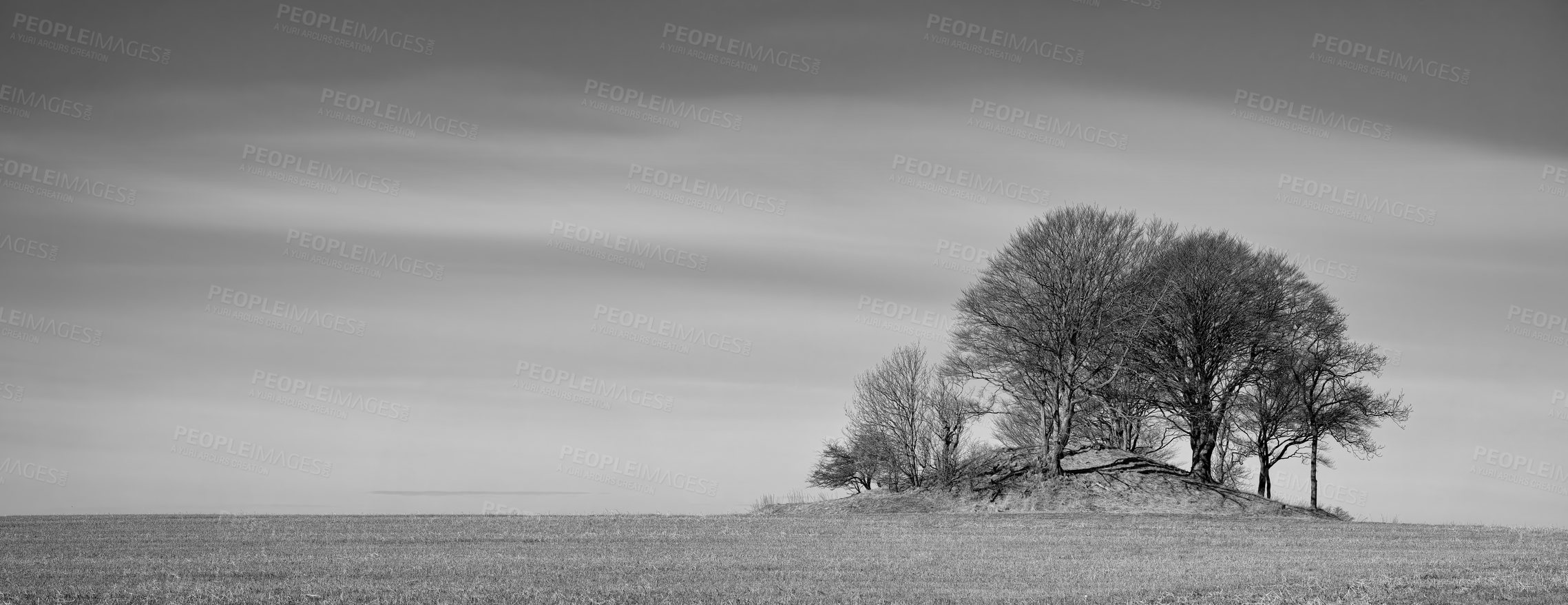 Buy stock photo Landscape, black and white hill with trees or winter on cold morning for weather or mockup space. Outdoor, nature scenery and field in woods for ecosystem background, environment or natural habitat