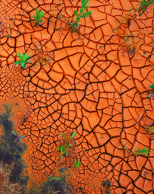 Buy stock photo Plants growing through cracked dry land in a barren landscape. Closeup of an artistic image in bright rusty orange with copyspace. New growth symbolising endurance, bounce back, courage and strength 