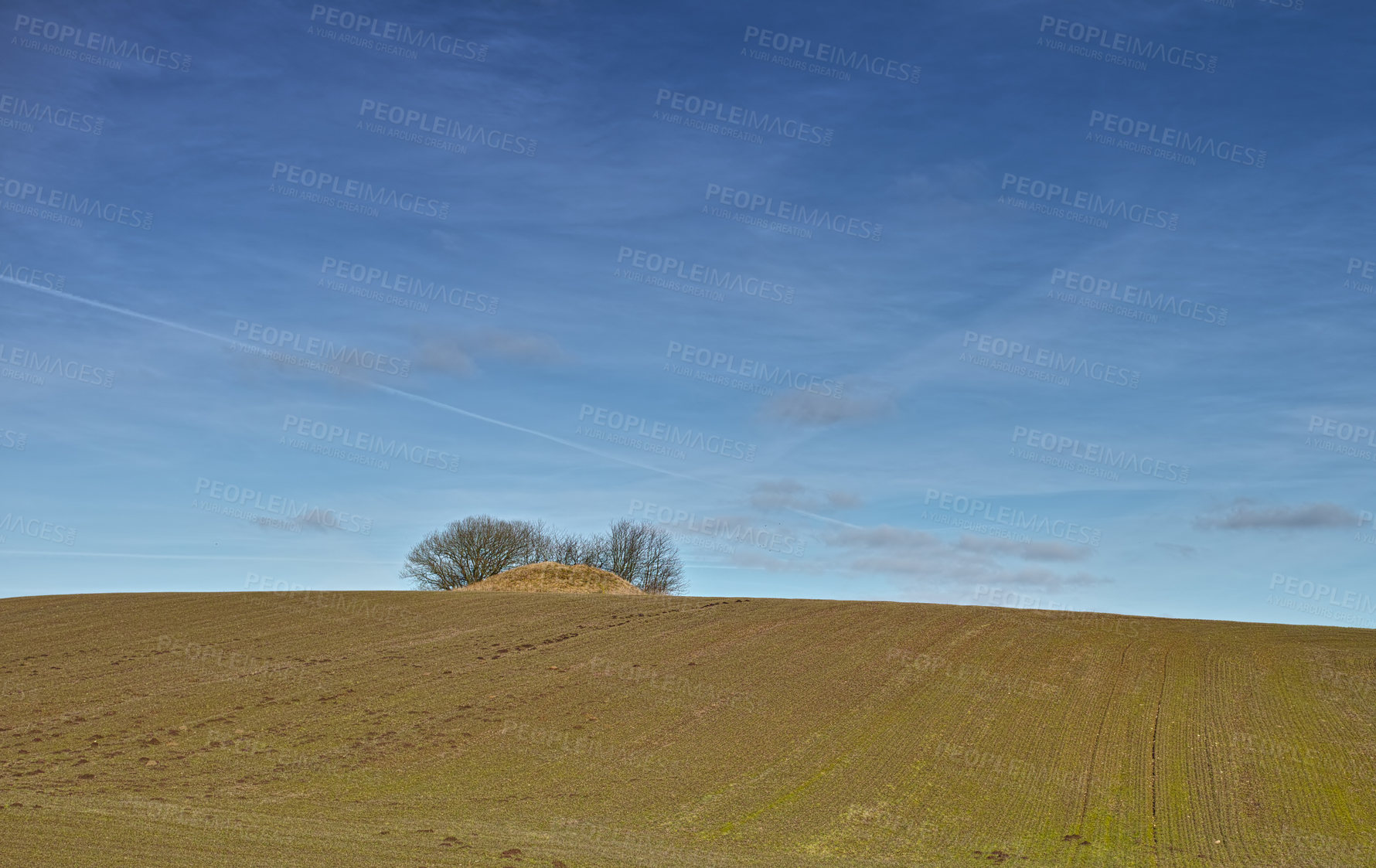 Buy stock photo Landscape, field and mound with trees on horizon in nature with blue sky, grass and natural environment in Mexico. Land, meadow and grassland for farming, agriculture and cultivation in countryside