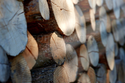 Buy stock photo Lumber, wood and closeup with pile, forest and tree plant with deforestation and timber for firewood supply. Log, nature and woods for construction material and trunk resource of bark for logging