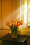 Sunlit tulips on the sidetable