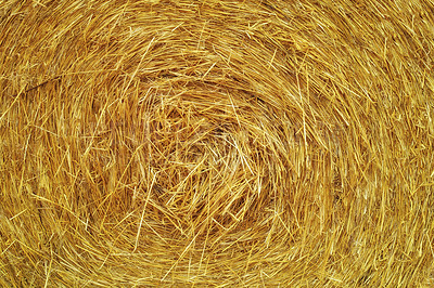 Buy stock photo Closeup image of a rolled up straw bale - cropped