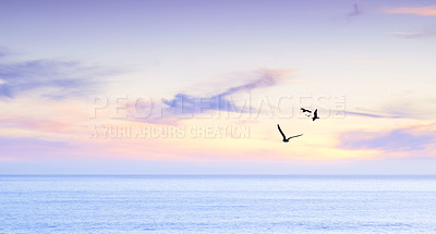 Buy stock photo Ocean, sunrise and seagull flying in air in morning and tropical island with birds in nature. Blue sky, clouds and sunlight on water on beach, calm and cape town for tourist destination to travel