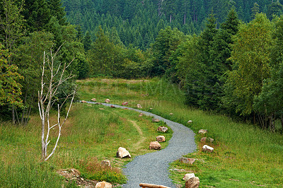 Buy stock photo Pathway, landscape or forest with trees in countryside for travel, adventure and grass with rocks in nature. Street, trail and location in Norway with direction, roadway and environment for tourism
