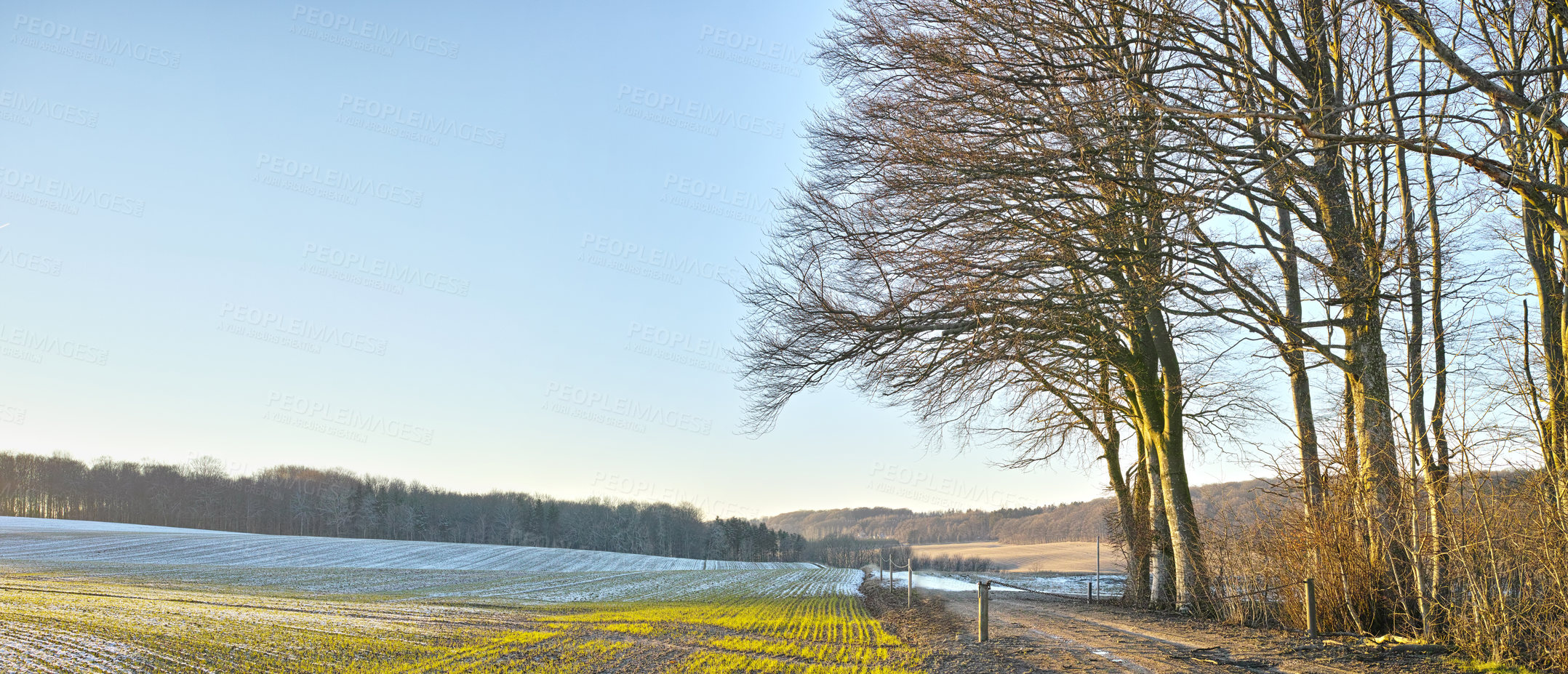 Buy stock photo Outdoors, nature and trees or road in countryside, ecosystem and calm trip for holiday or vacation. Peace, sustainable environment and travel to relax in New Zealand, plants and blue sky for mockup