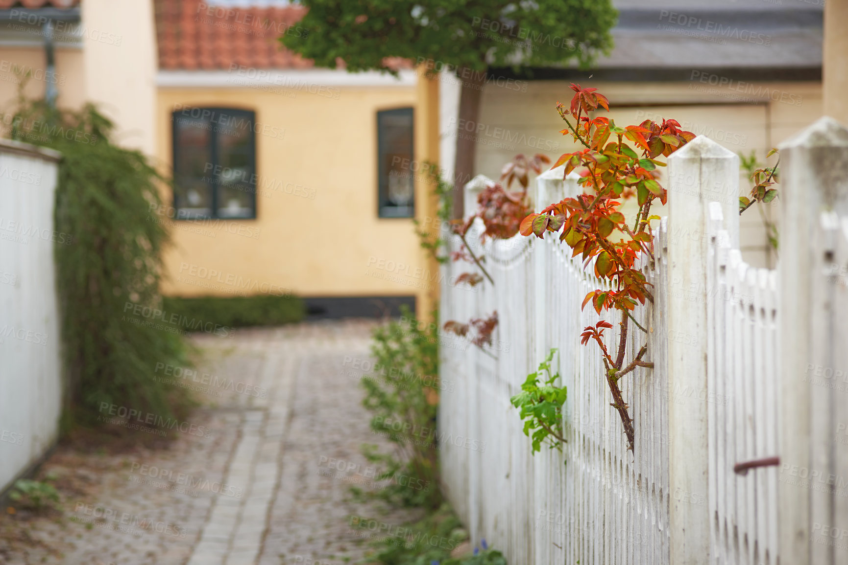 Buy stock photo Suburb, real estate and fence in front yard, driveway and house in Italy for village and gate in Europe. Home, urban and outdoor for residential, travel and journey and outside of town in country 