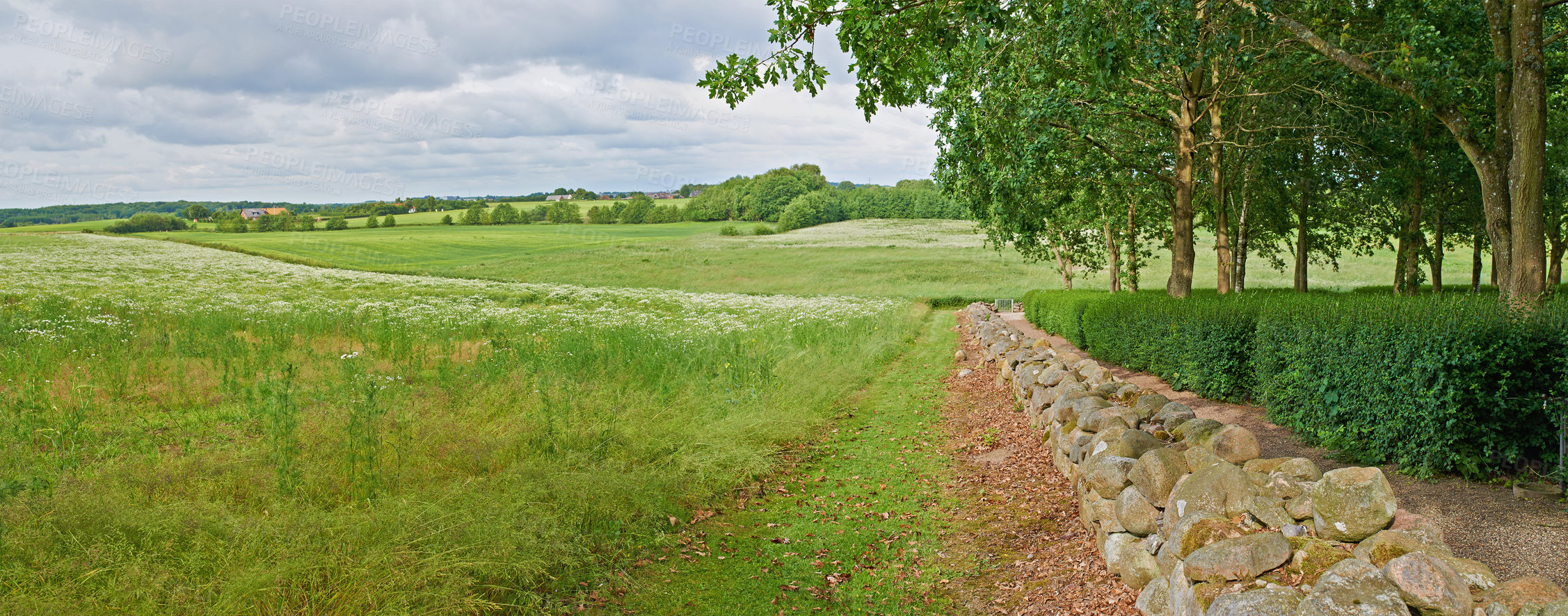 Buy stock photo Stone wall, grass and nature with countryside trees, agro farming and plant growth in environment. Background, travel or landscape of meadow horizon, lawn or natural pasture for sustainable field