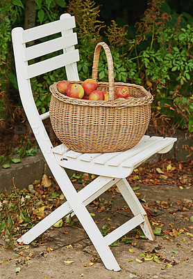 Buy stock photo Chair, apple and basket for leaves, autumn and ground for harvest of healthy food in countryside. Organic, fruit and seat on sustainable, farm and orchard for natural, eco friendly and nutrition