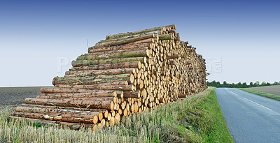 Buy stock photo Road, wood and deforestation with log pile on ground outdoor for industry, manufacturing or production. Nature, trees and street in countryside environment for lumber or logging supply and profession