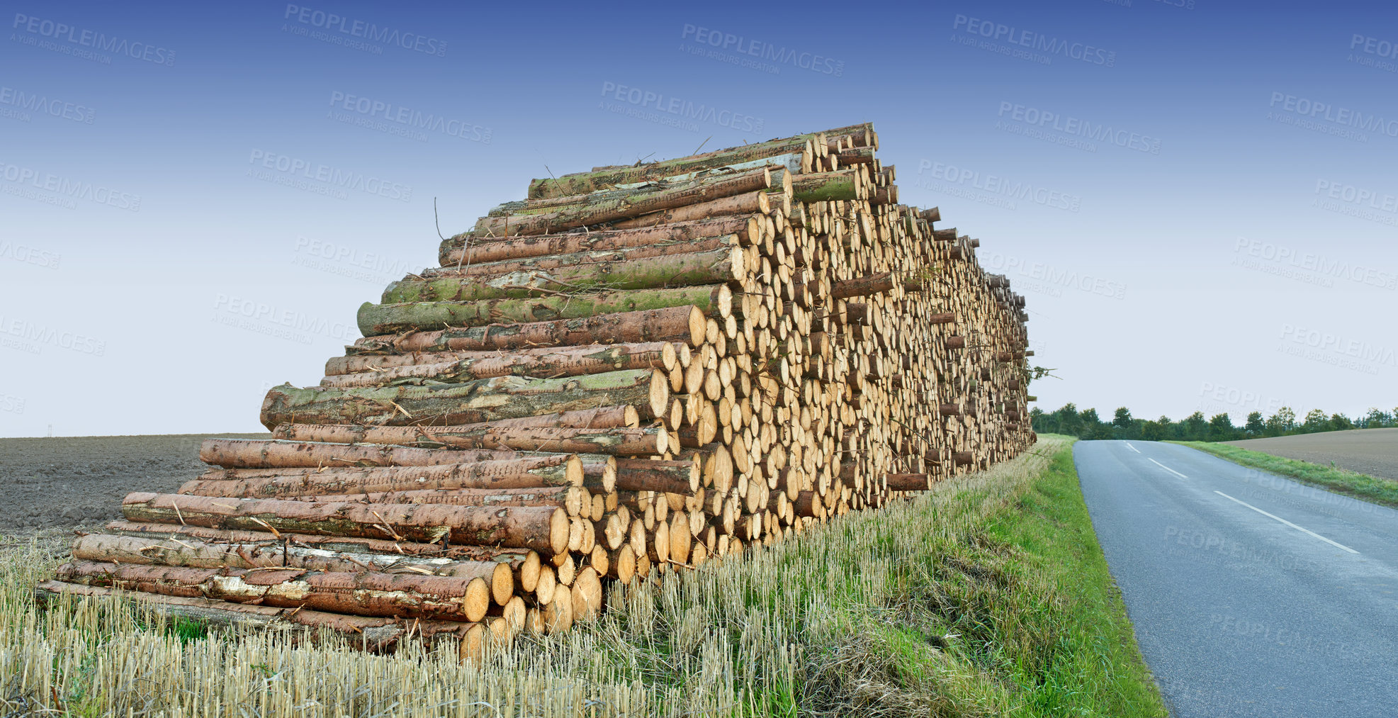 Buy stock photo Road, wood and deforestation with log pile on ground outdoor for industry, manufacturing or production. Nature, trees and street in countryside environment for lumber or logging supply and profession