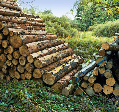 Buy stock photo A large pile of wood