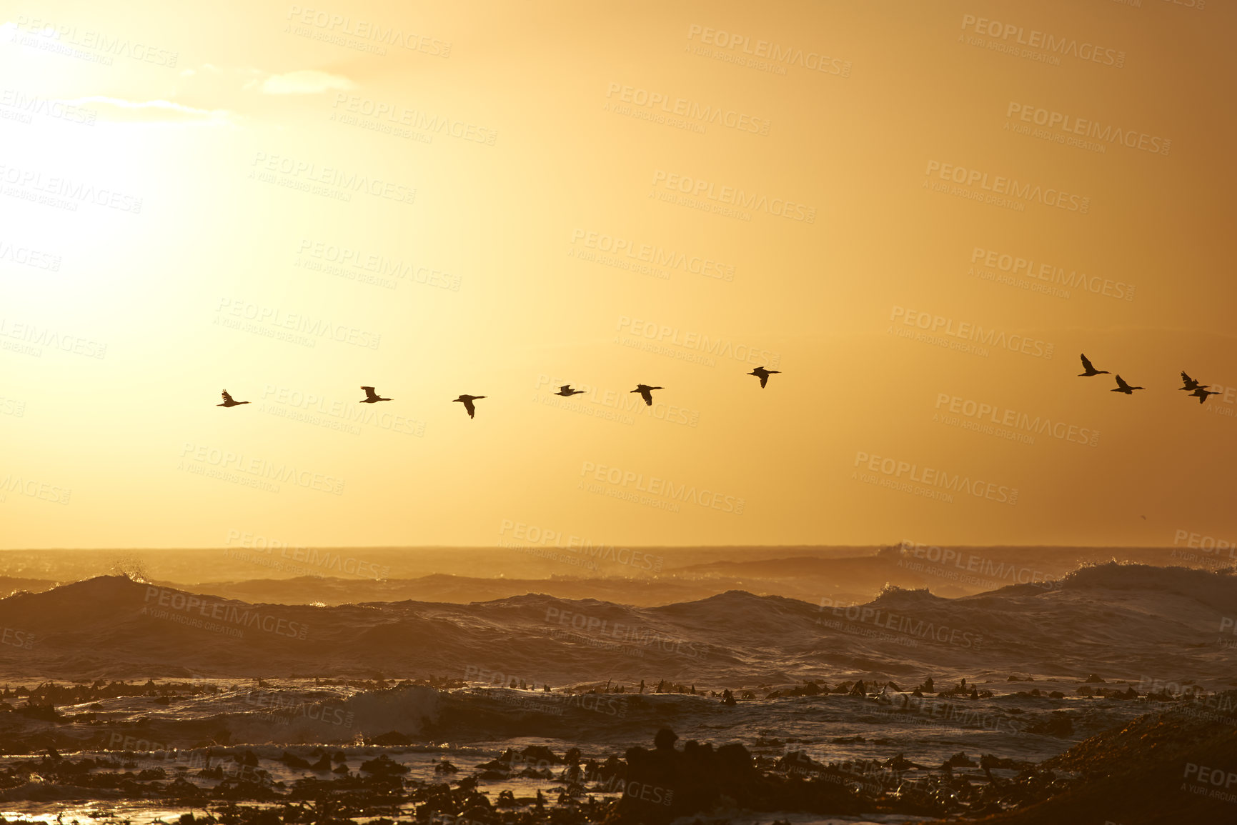 Buy stock photo Sunrise landscape, waves and birds flying over ocean rocks, clouds and golden sky in beach. Morning, scenic view and sunshine in island or sea with stones, summer or winter and environment for peace