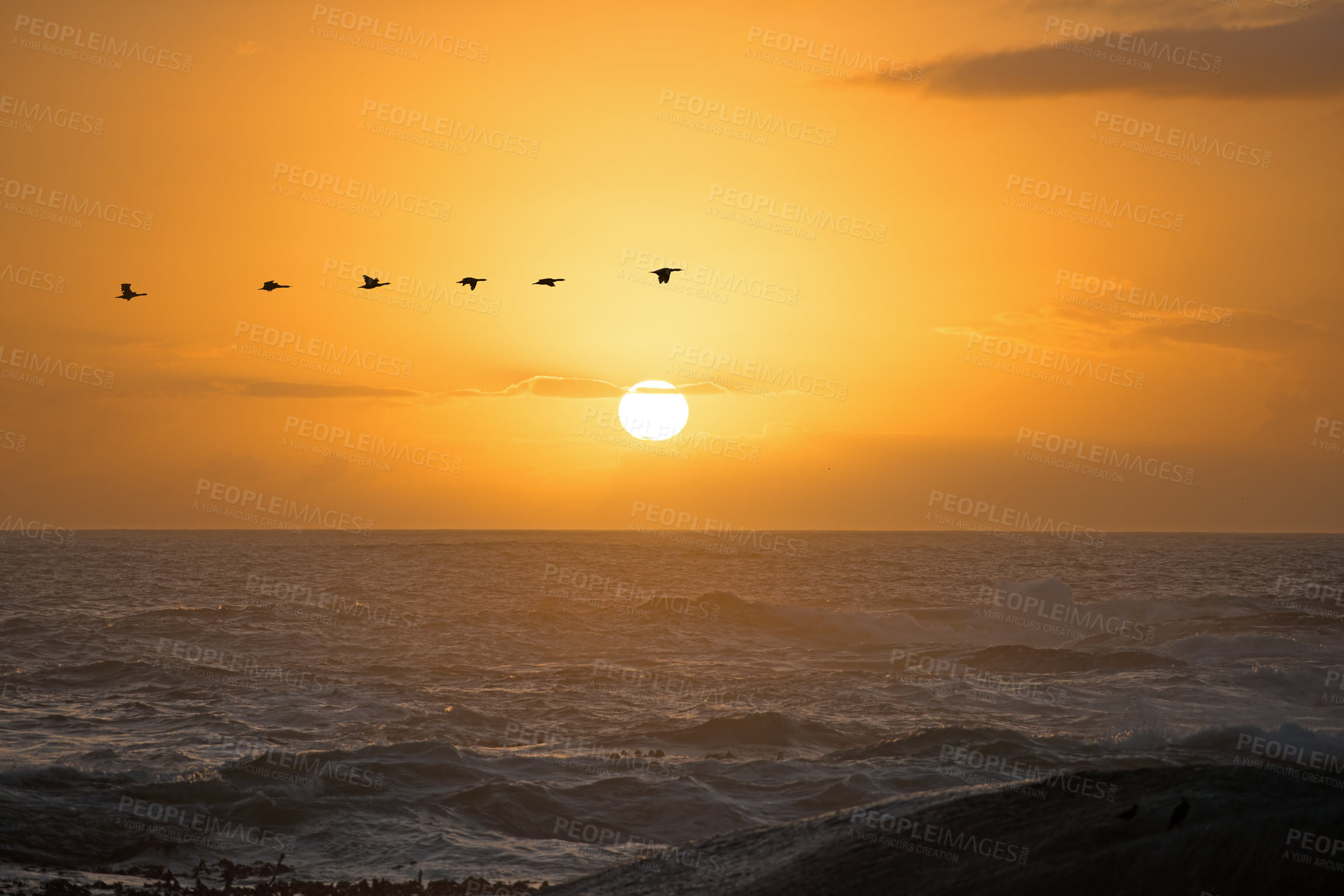 Buy stock photo A scenic sunset over an ocean with a flock of birds flying past
