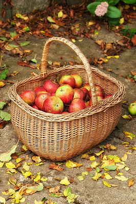 Buy stock photo Apple, basket and ground for autumn, harvest and agriculture of healthy, natural and snack. Organic, fruit and floor for abundance, sustainability or zero waste for farming eco friendly food