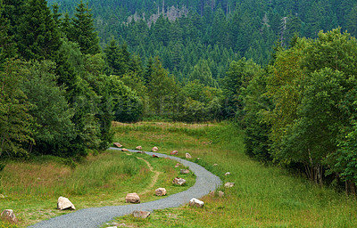 Buy stock photo Pathway, landscape or forest with pine trees in countryside for travel, adventure or grass with rocks in nature. Street, trail or location in Africa with direction, roadway or environment for tourism