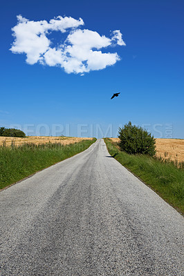 Buy stock photo Road, landscape and grass with blue sky in countryside for travel, adventure or roadtrip with birds in nature. Street, clouds or location in Amsterdam with journey, roadway or environment for tourism