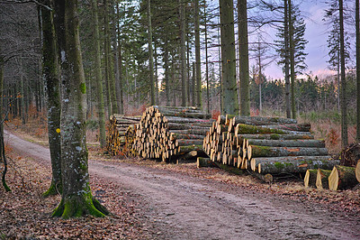 Buy stock photo A large pile of wood