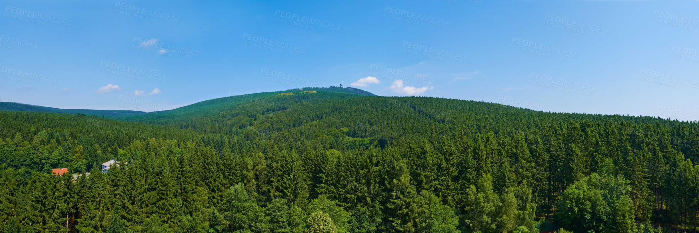 Buy stock photo Forest, nature and landscape with aerial view in sky for land, environment and wilderness for adventure. Greenery, sustainability and vegetation with overgrowth, rainforest and jungle scenery