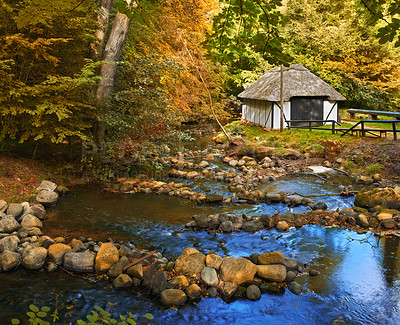 Buy stock photo Forest, landscape and hut in river with trees, woods and natural environment in autumn with leaves or plants. Swamp, water and stream with growth, sustainability and ecology with rocks in Denmark