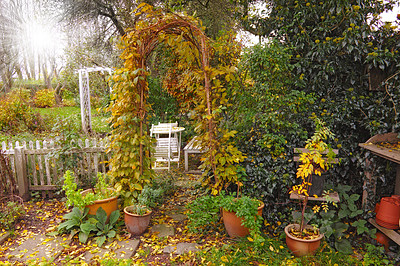 Buy stock photo A rustic garden in the autumn sunshine