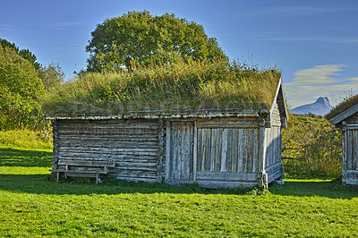 Buy stock photo A wooden shed with grass growing on the roof on a green lawn