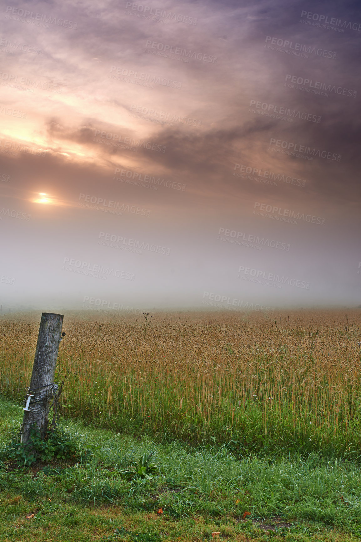 Buy stock photo A wooden fencepost standing next to a cultivated field during sunrise