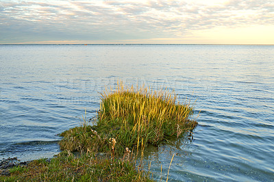 Buy stock photo Lake, grass and coast with landscape, horizon and sky in environment with sunshine in Jutland. Water, sea or field with clouds, sustainability or ecology for earth in summer at countryside in Denmark