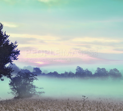 Buy stock photo An atmospheric misty sunrise over a meadow