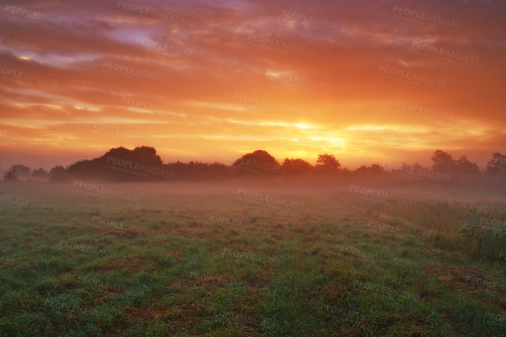 Buy stock photo Clouds, landscape and field in nature, sunset or peace in morning with countryside tranquility sustainability. Freedom, farm and sunrise outdoor for travel, explore or adventure in Amsterdam vacation