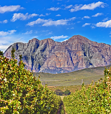 Buy stock photo Mountains, environment and grass with nature, clouds and stone with landscape and weekend break. Empty, rock and plants with flowers and countryside with summer and journey with sunshine and earth