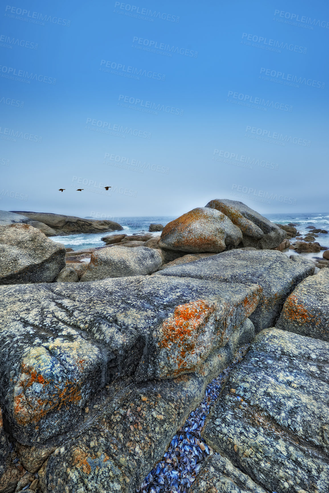 Buy stock photo Beach, stone and rocks in landscape of nature or environment with birds in blue sky at sea. Offshore, ocean and travel on vacation or holiday to South Africa in summer with calm water or waves