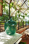 Gorgeous greenhouse