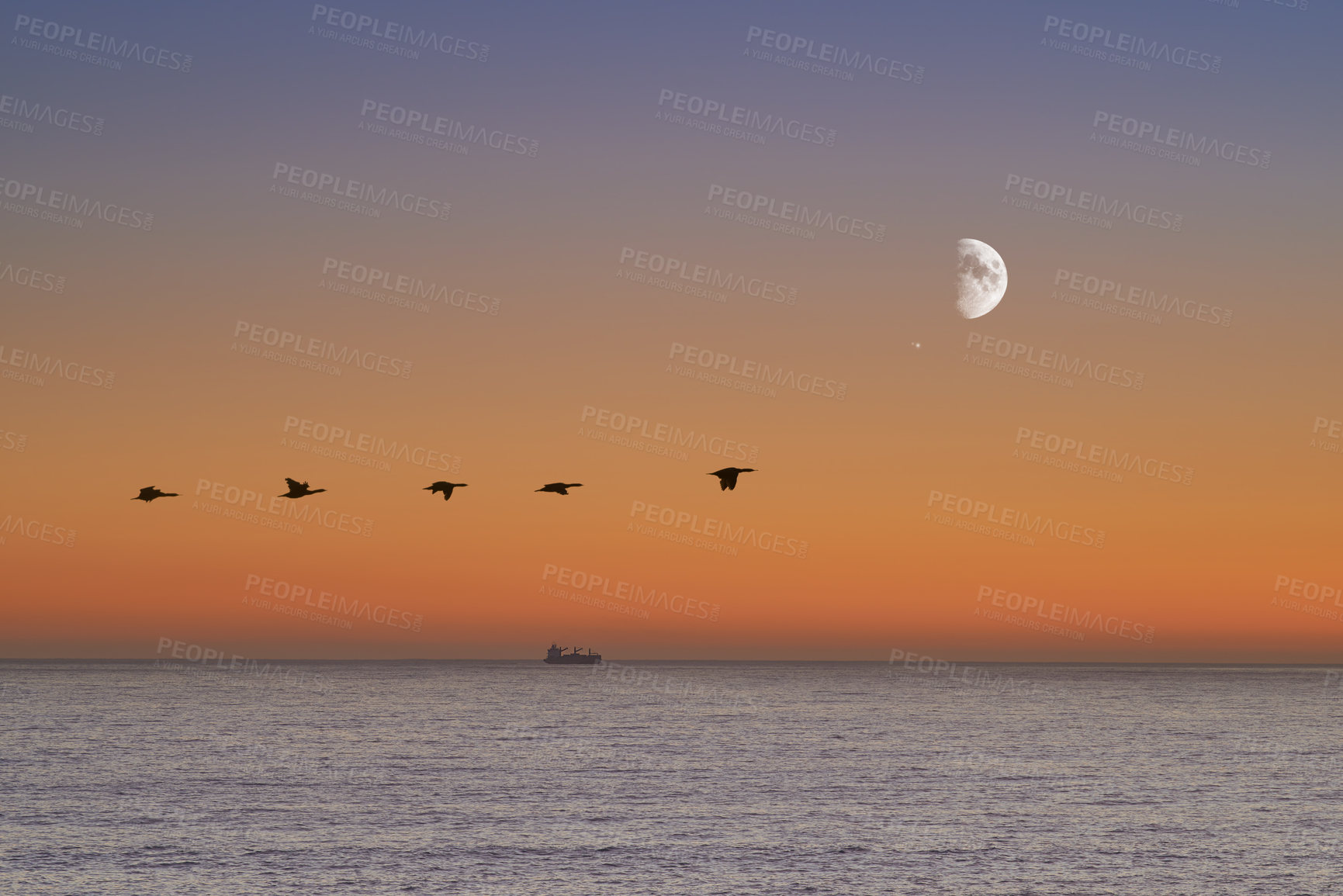 Buy stock photo Birds, sunset and sea at morning on the horizon with ocean and waves landscape. Sunrise background, calm weather and summer by the beach with coastline and outdoor environment with the moon in nature