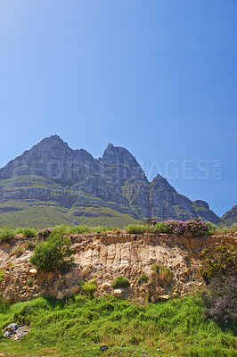 Buy stock photo Mountain, blue sky and travel location with flower, summer and journey in natural landscape. Landmark, nature and environment for outdoor adventure, explore and holiday destination in South Africa.