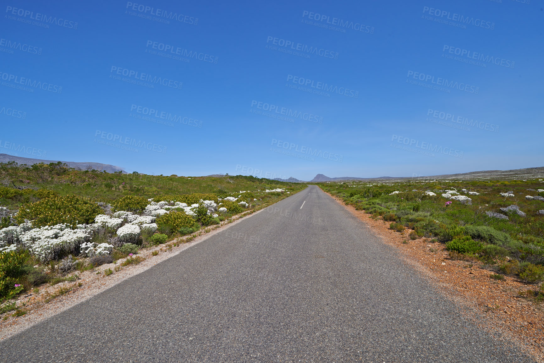 Buy stock photo Blue sky, road trip and natural landscape with travel, holiday and green countryside in South Africa. Nature, bush and highway for journey, vacation and outdoor adventure with mountain on horizon.