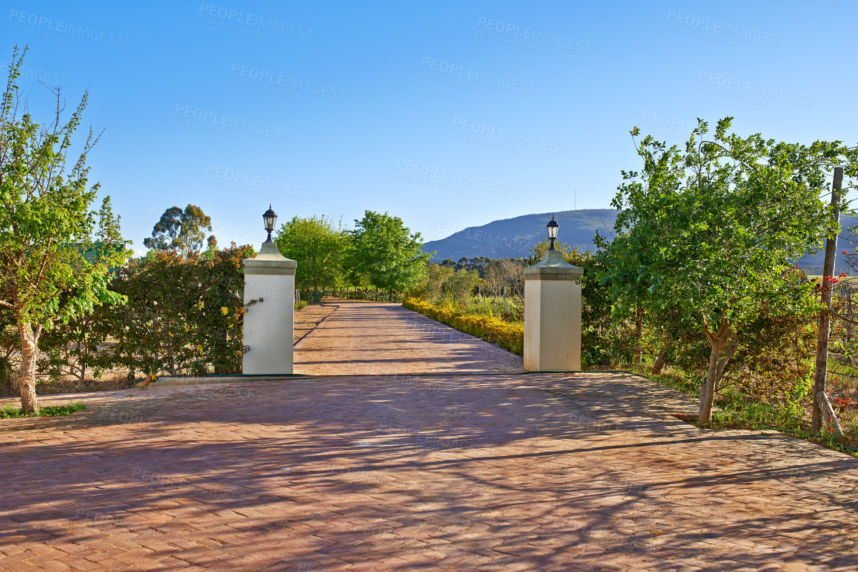 Buy stock photo A wine farm entrance on a sunny summer day. Luxury vineyards in the western cape. Entering a wine estate in the Winelands of south africa. 