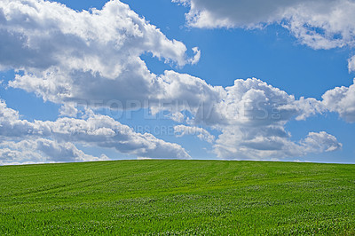 Buy stock photo Blue sky, clouds and landscape in summer with sustainability, environment and zen in countryside. Field, nature and beauty with green grass for eco friendly, growth and horizon with lawn on earth