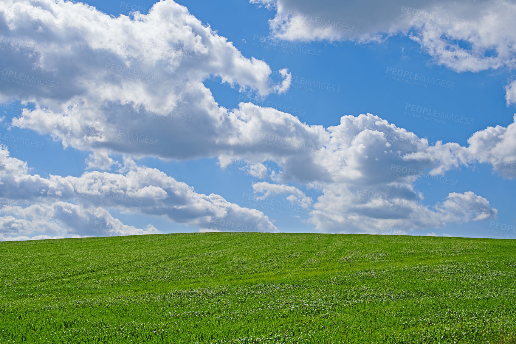Buy stock photo Blue sky, clouds and landscape in summer with sustainability, environment and zen in countryside. Field, nature and beauty with green grass for eco friendly, growth and horizon with lawn on earth