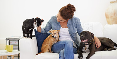 Buy stock photo Woman, sofa and happy with pet, cat and dog for care, love and bonding in home living room, playing and together. Girl, animal family and smile on lounge couch with happiness, lifestyle and house