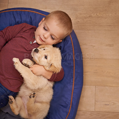 Buy stock photo Child, puppy and hug with home, floor and pet with love at house. Kid, dog and golden retriever or sleepy labrador with embrace, bond and sharing together with boy and high angle of animals or pets